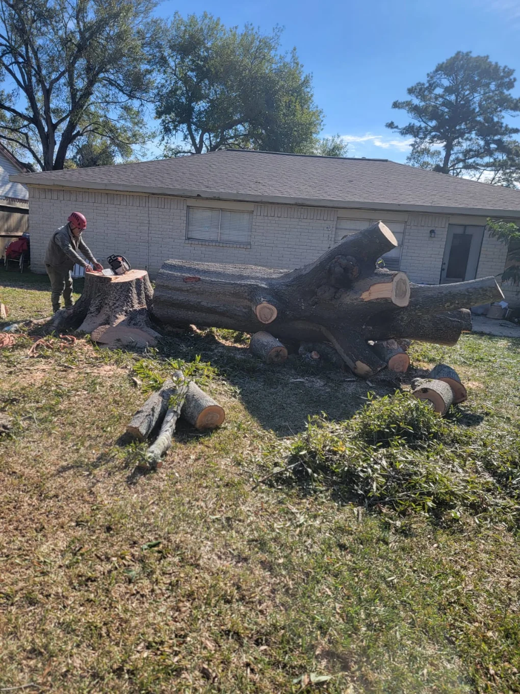 Granding,general tree,stump grinding ,wood fencing in Dickinson TX